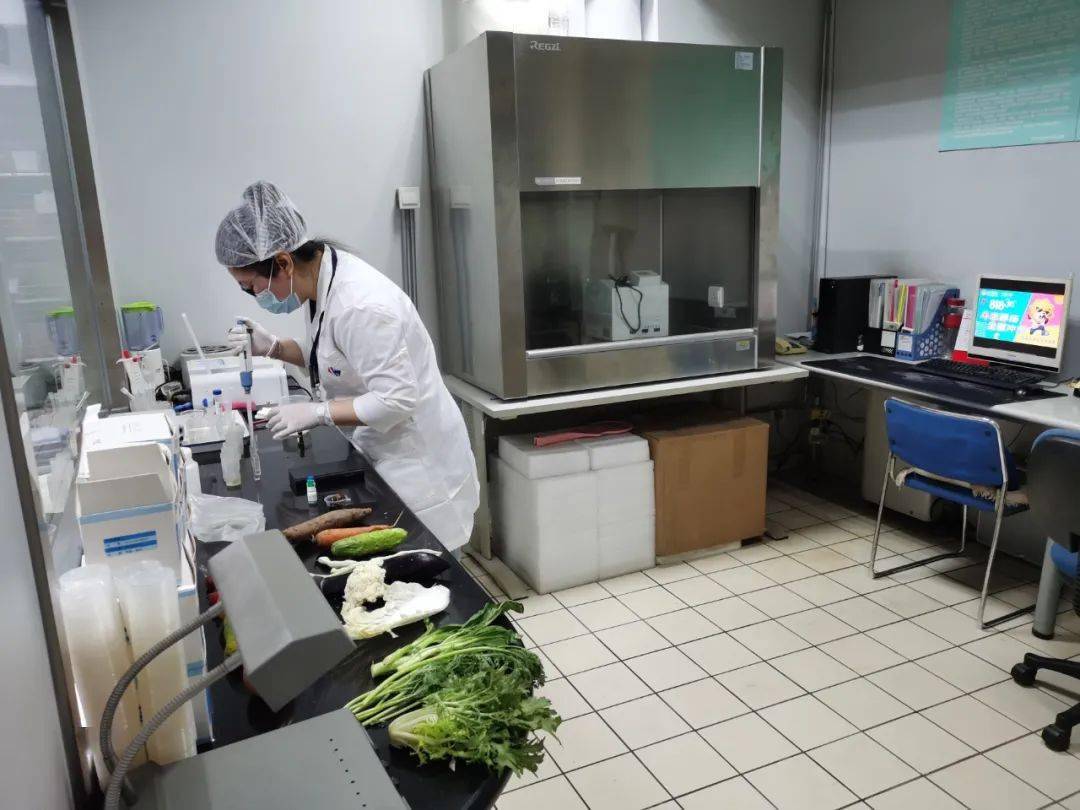 梅县食品检测实验室装修方案